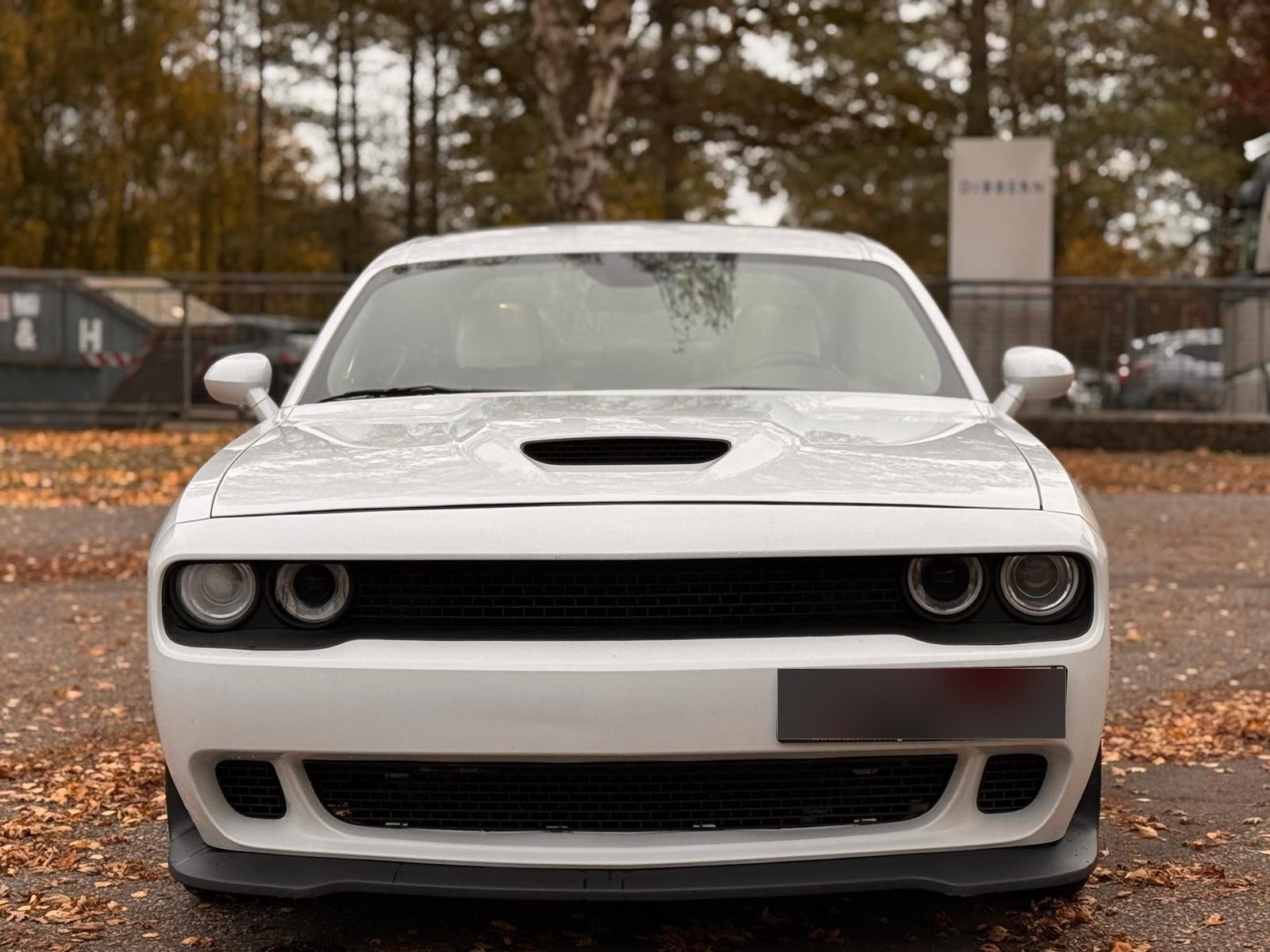 Dodge Challenger - Photo 13